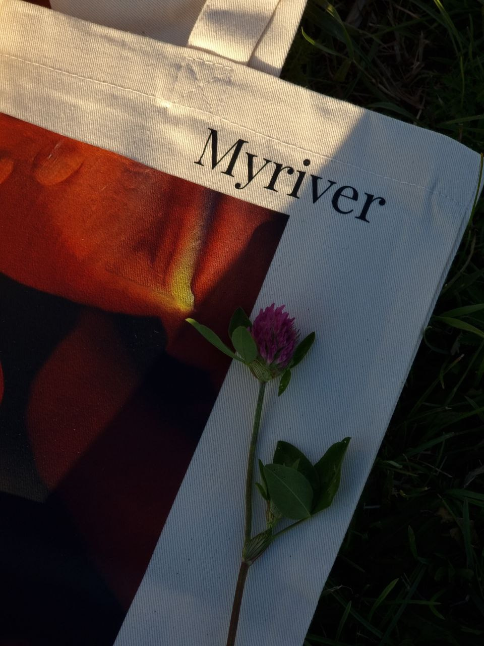 Шоперы. Фотограф из Санкт-Петербурга/Катерина Зайцева