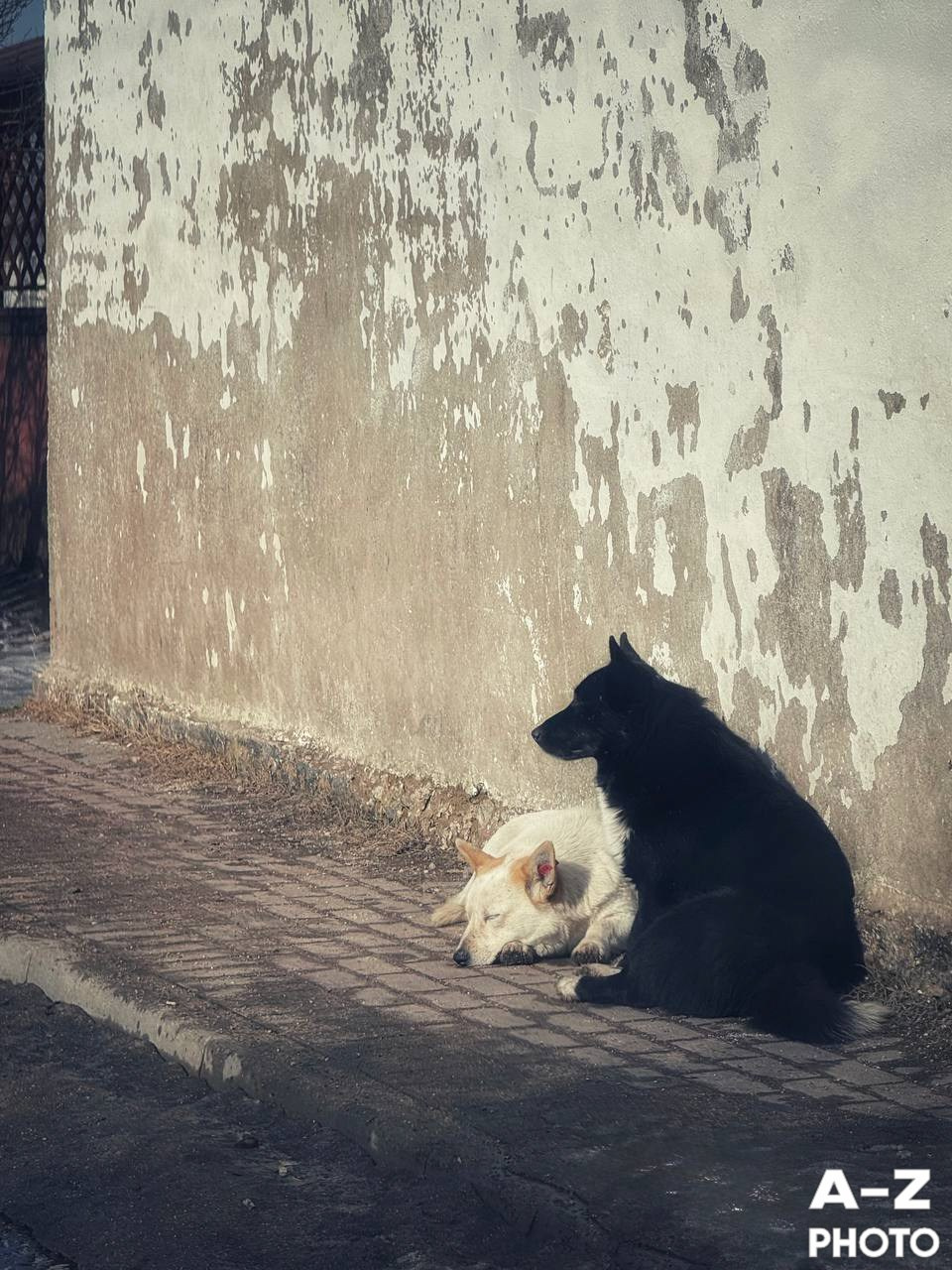 #ФОТОНЕДЕЛИ 30.03.2026. Женский семейный фотограф Тула Москва Захарова Анна