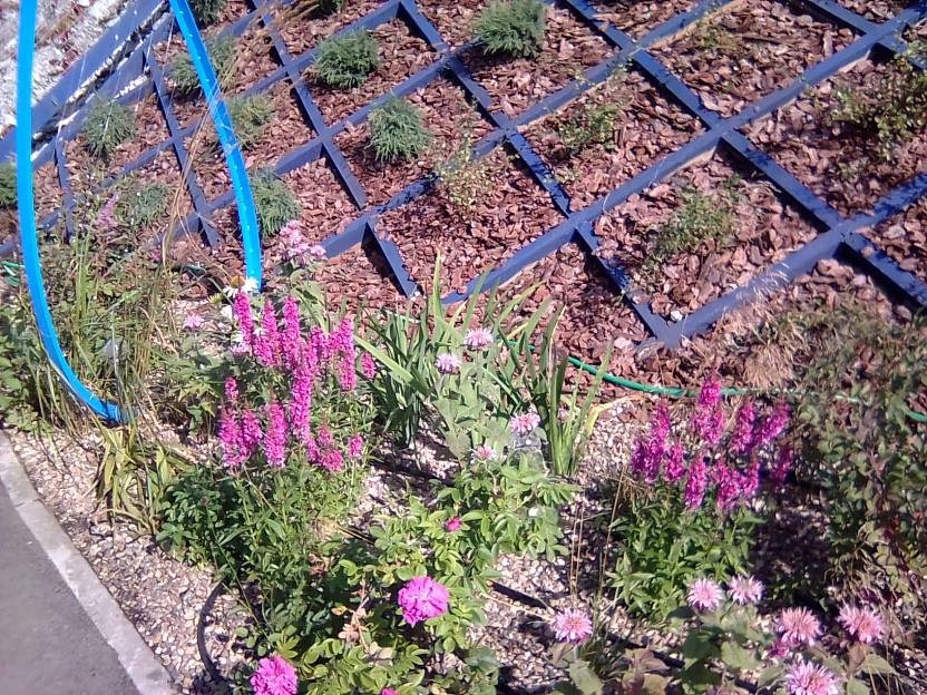 ВНИМАНИЕ! ФЕСТИВАЛЬ ЛАНДШАФТНОГО СТРОИТЕЛЬСТВА. 俄罗斯设计估算