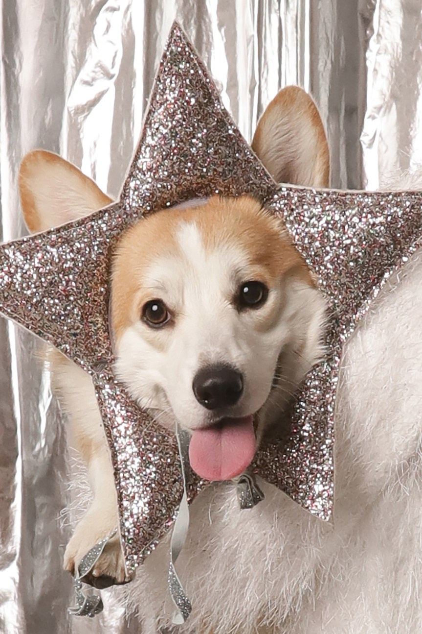 Серебристый Новогодний