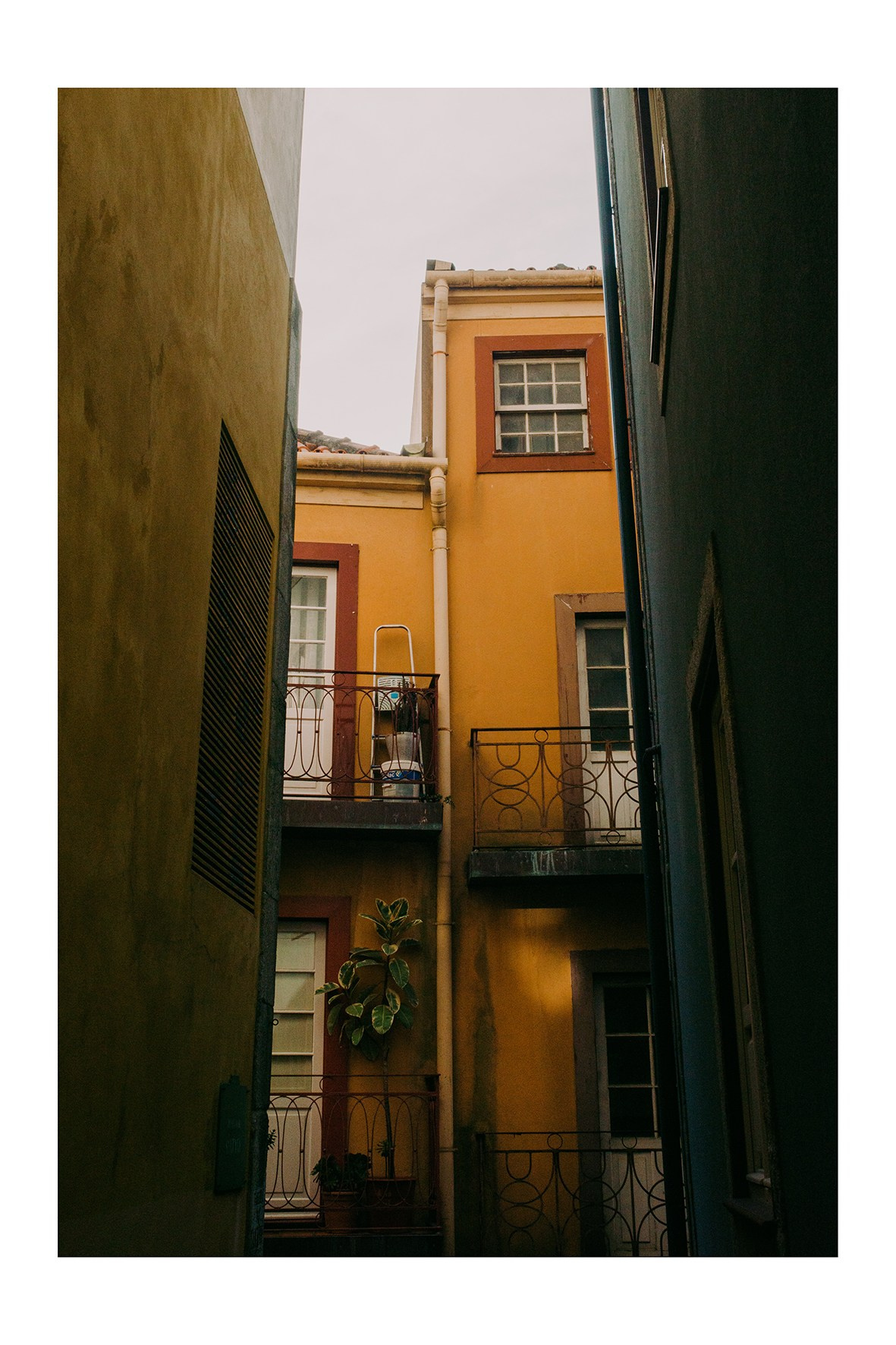 Prints and postcards. Porto Photographer Kristina Brazhnikova