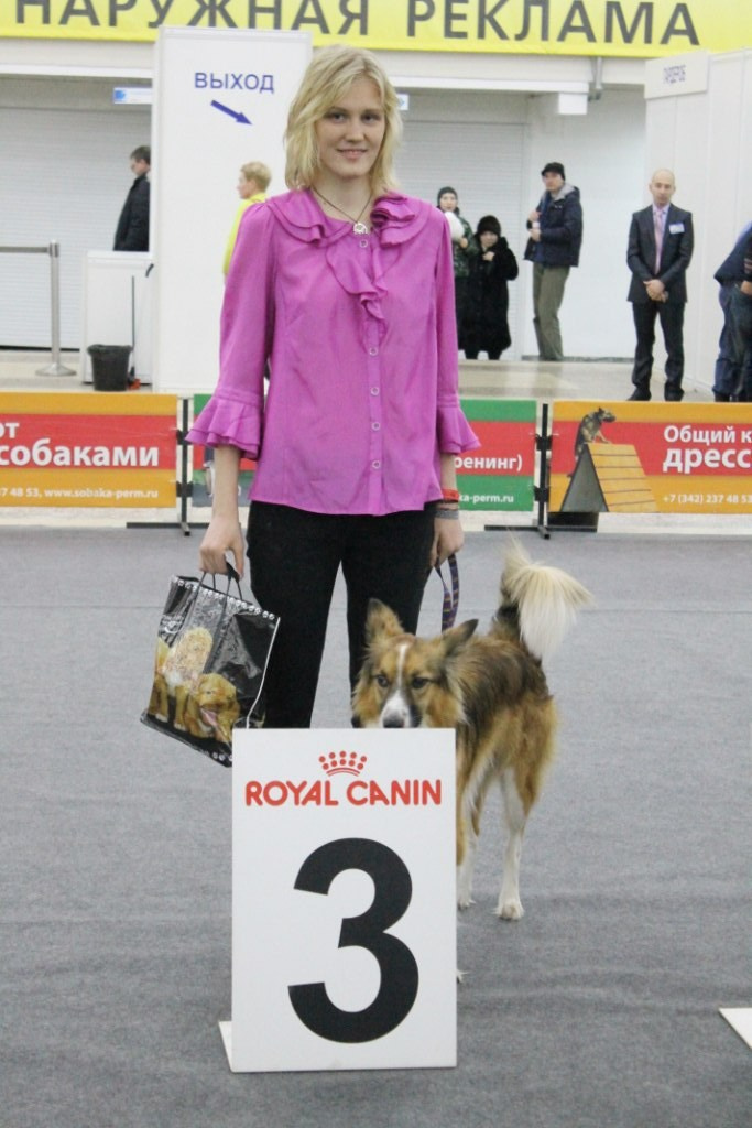 О нас. BLGKV питомник собак