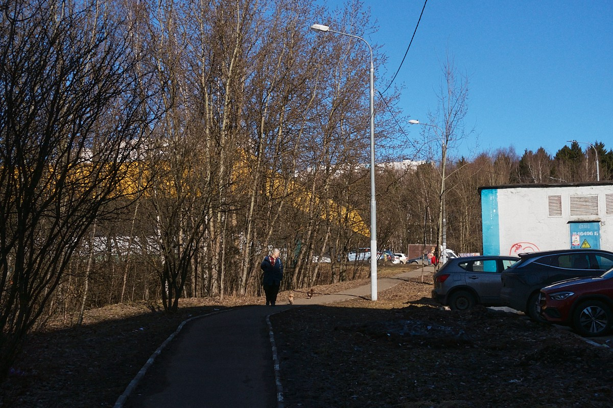 Дневной Сон. Иван Кобяков