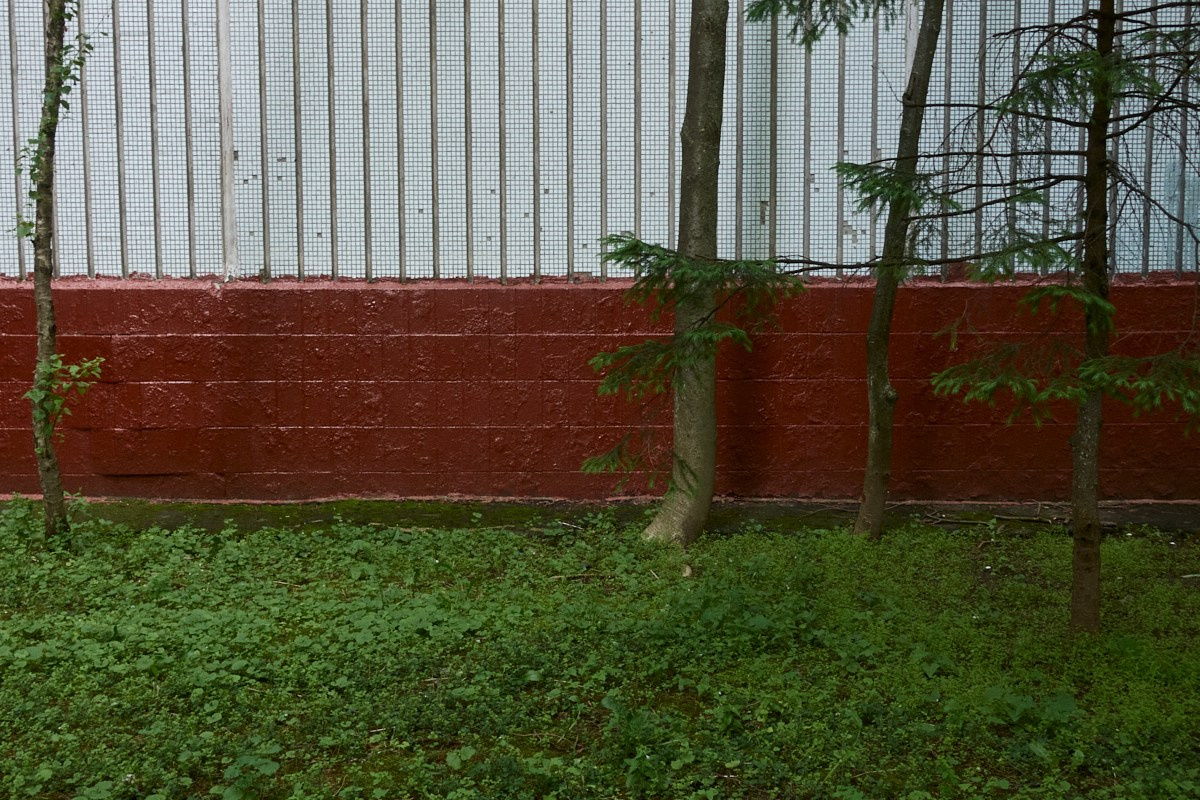 Сезон цветения полыни. Иван Кобяков