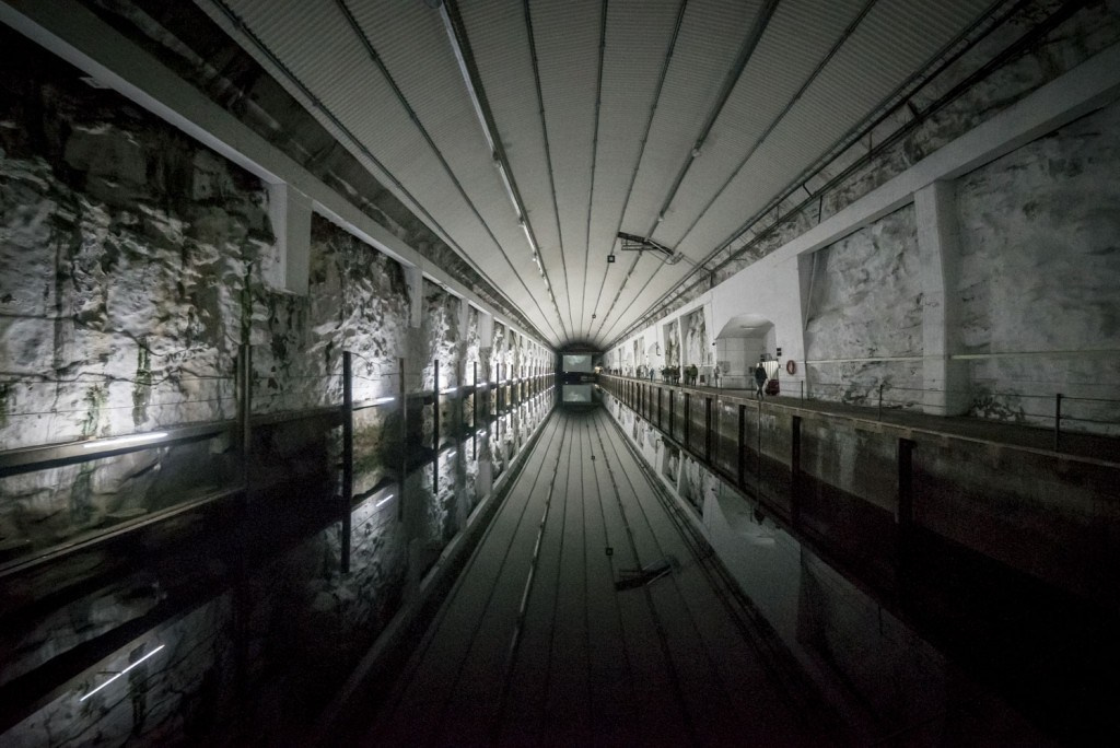 VULNERABLE SINGING 2015. Ilmira Bolotyan — Interdisciplinary Artist and Curator