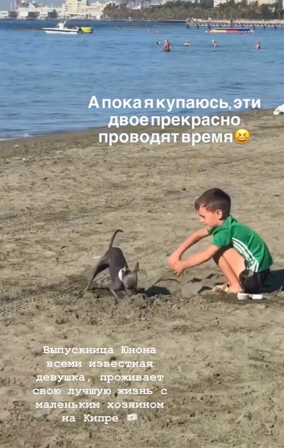 Левретка и ребенок: нежная дружба. Профессиональный питомник левреток РКФ/FCI ASTI SAPPHIRE 💎 Сочи|Санкт-Петербург