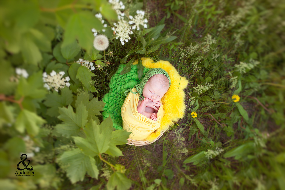 Фотосессии новорожденных (Newborn). Фотограф новорожденных в Самаре Марья Андерсен