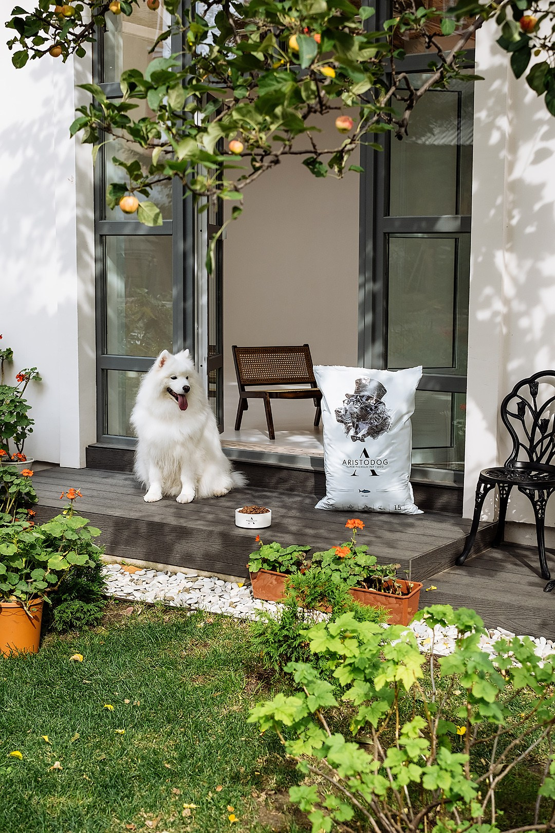 ARISTODOG. Фотограф и видеограф Анна Жагорина