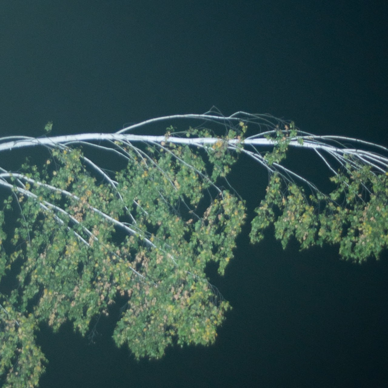 Марафон креативной фотографии. Vladimir Borele Photographer