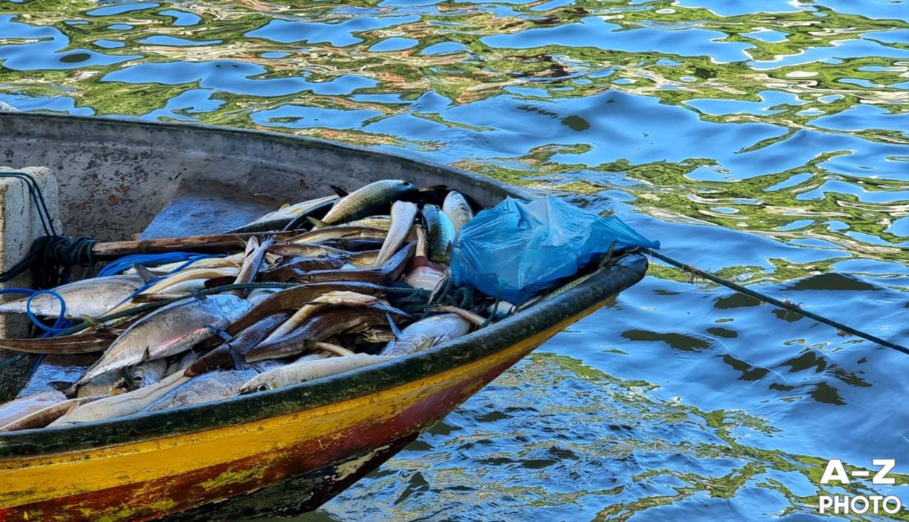 #ФОТОНЕДЕЛИ 30.03.2026. Женский семейный фотограф Тула Москва Захарова Анна