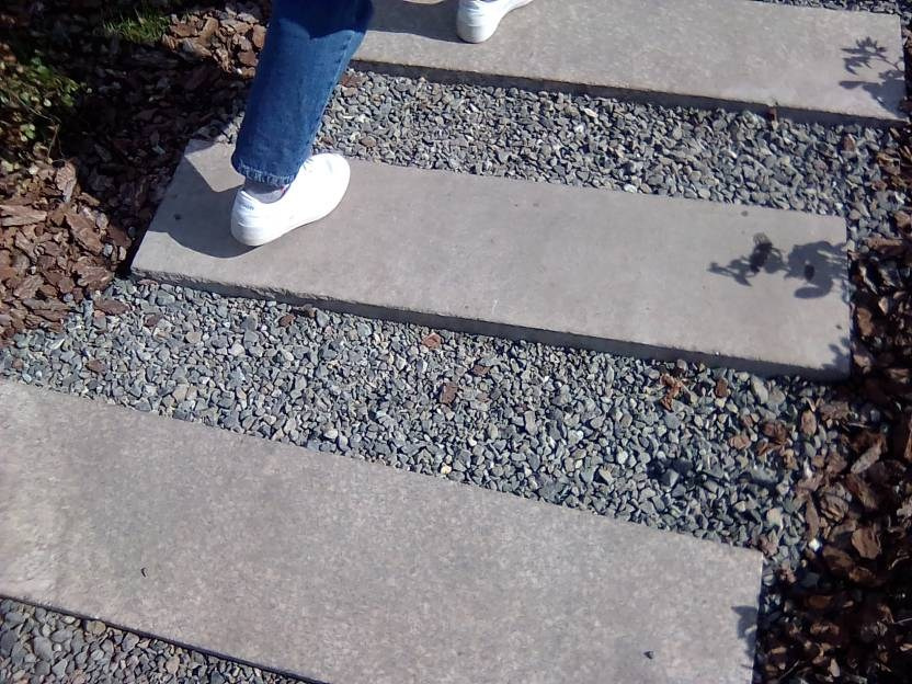 ВНИМАНИЕ! ФЕСТИВАЛЬ ЛАНДШАФТНОГО СТРОИТЕЛЬСТВА. 俄罗斯设计估算