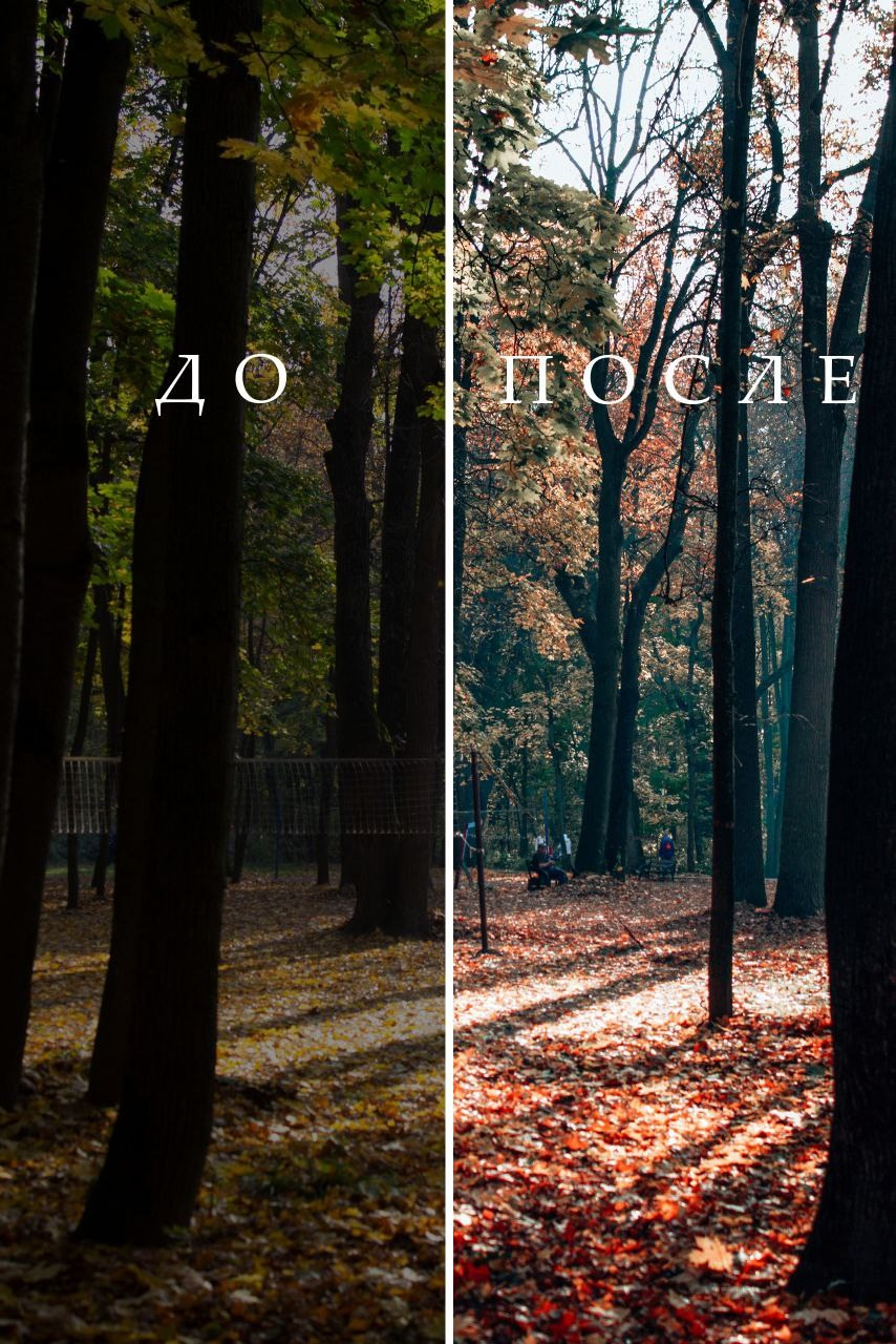 Пресеты «Мега пак». Фотограф Сергей Антонов Москва