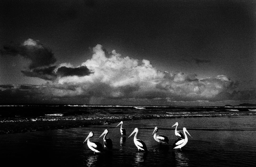 Inspiration — my Photographers list p.3. Moscow street photography workshops and photo tourism