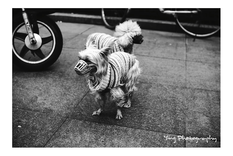 Inspiration — my Photographers list p.3. Moscow street photography workshops and photo tourism