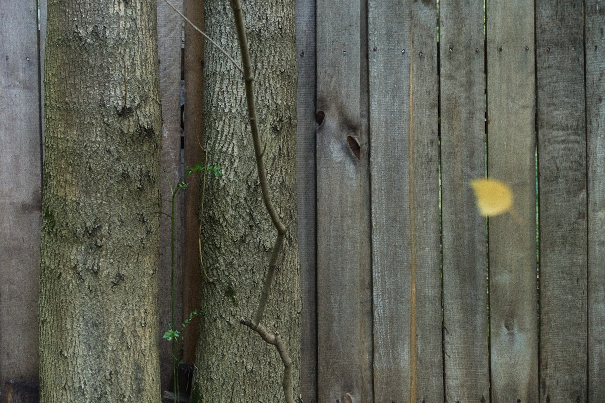 8-9/25. Иван Кобяков