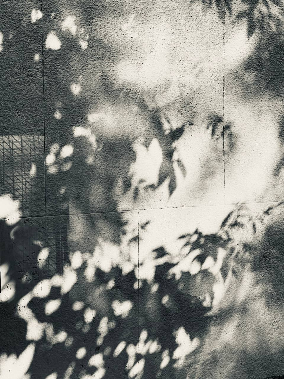 Фотолагерь для фотографов и не только. ARTDARY | Фотограф Дарья Грицай