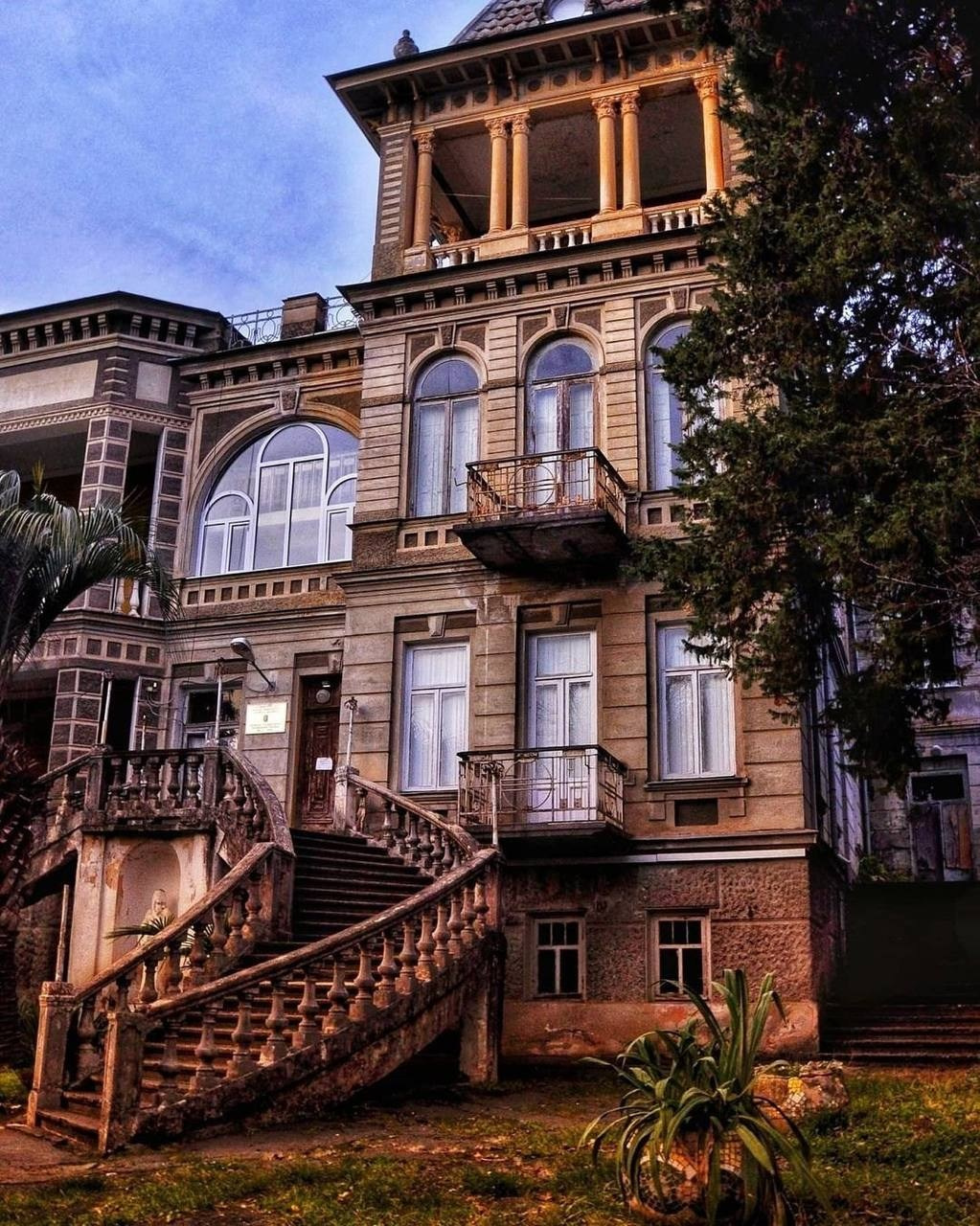 Абхазия. «Мандариновое настроение». Ольга Котова