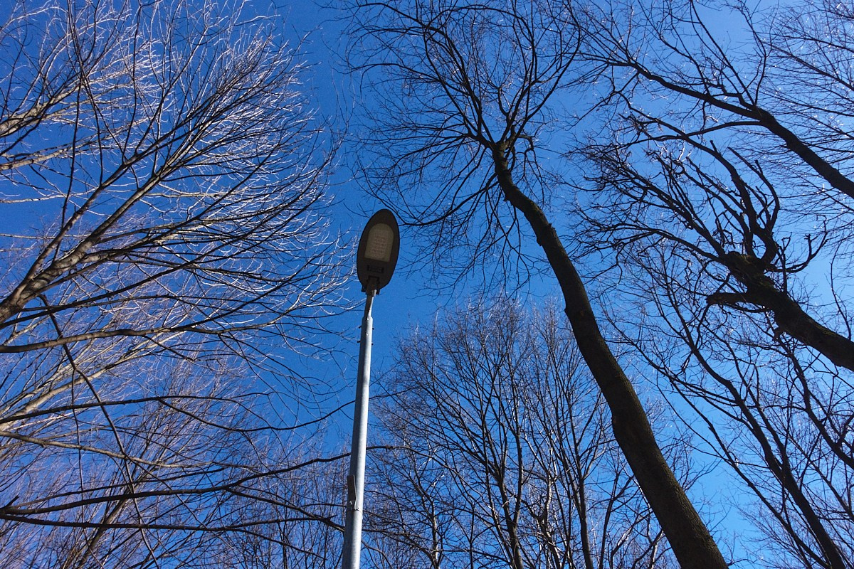 Дневной Сон. Иван Кобяков