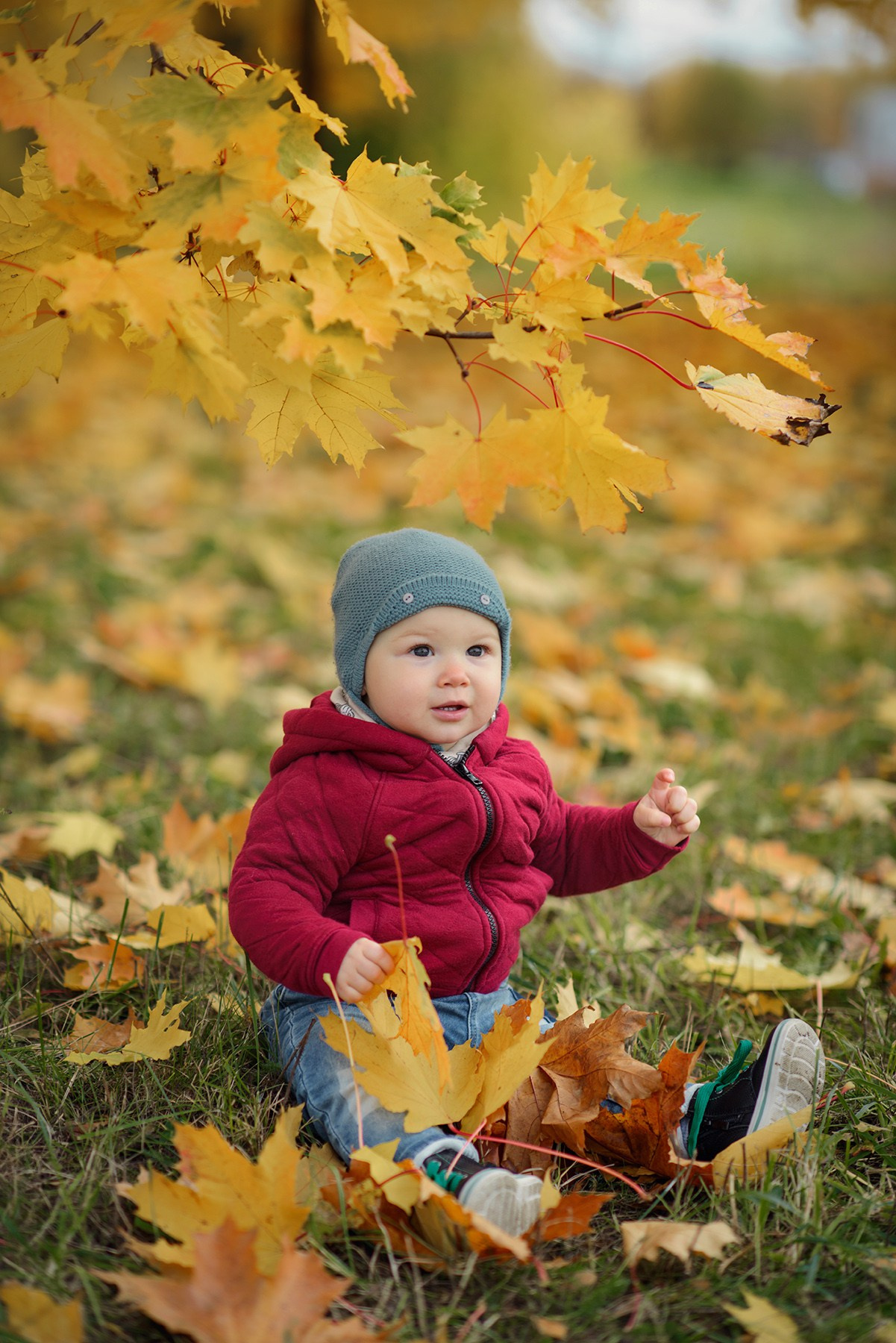 Photo shoot of a little child in autumn. Photos with yellow leaves