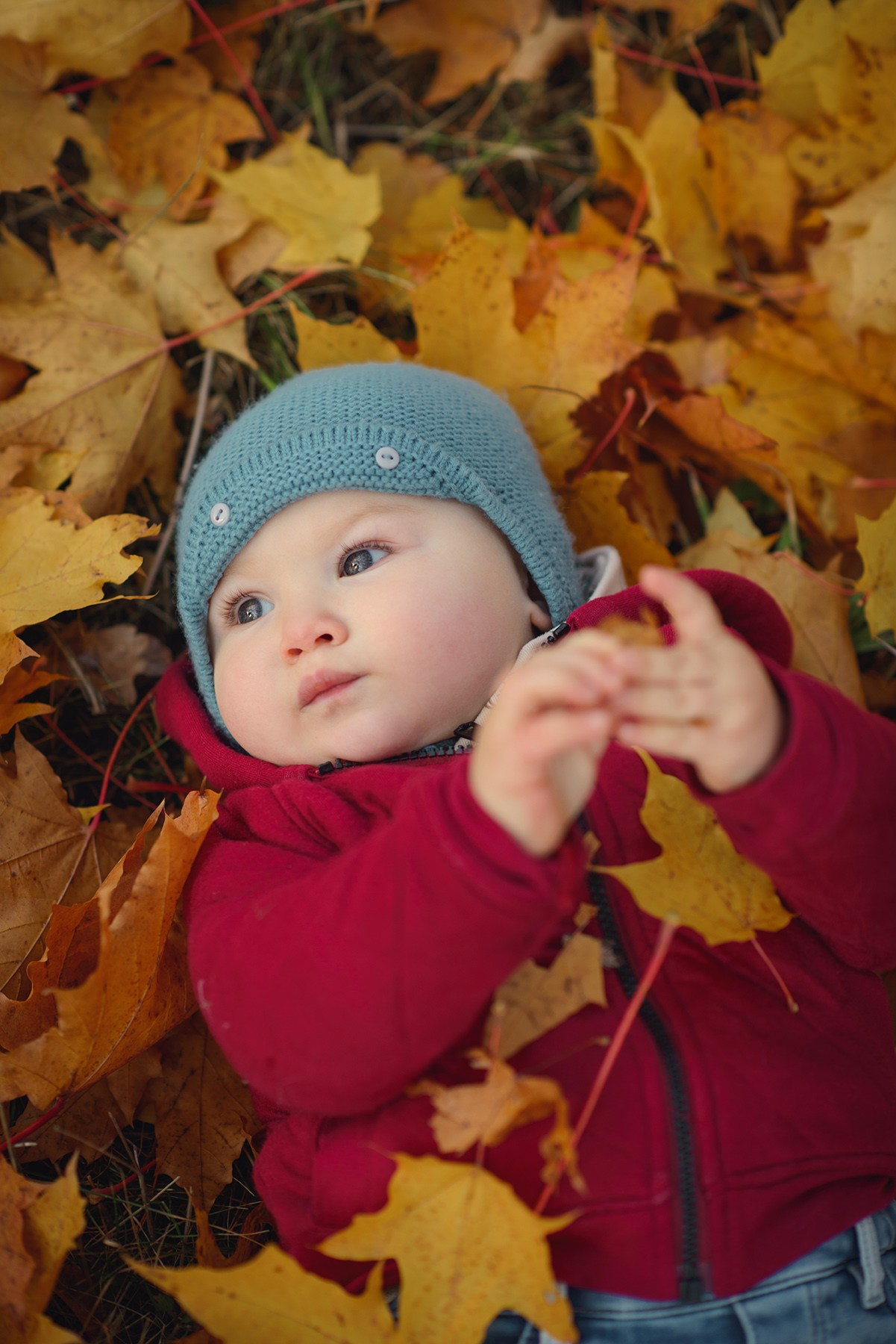 photo shoot of baby in autumn. Photos with yellow leaves