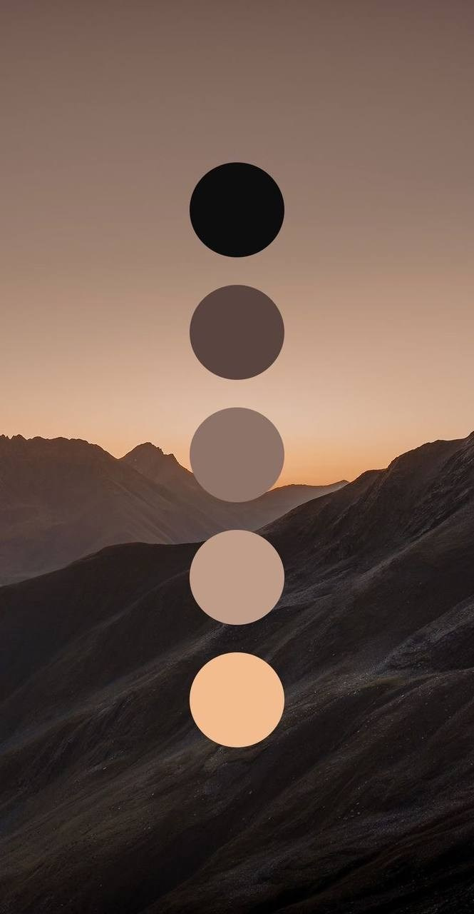 Как подобрать образ на фотосессию. Фотограф-анималист Анастасия Большакова