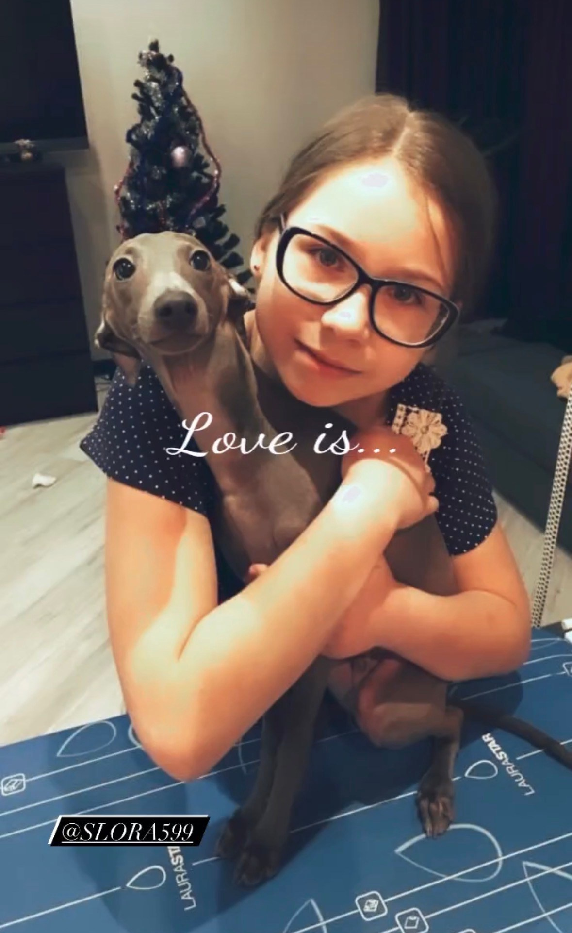 Левретка и ребенок: нежная дружба. Профессиональный питомник левреток РКФ/FCI ASTI SAPPHIRE 💎 Сочи|Санкт-Петербург