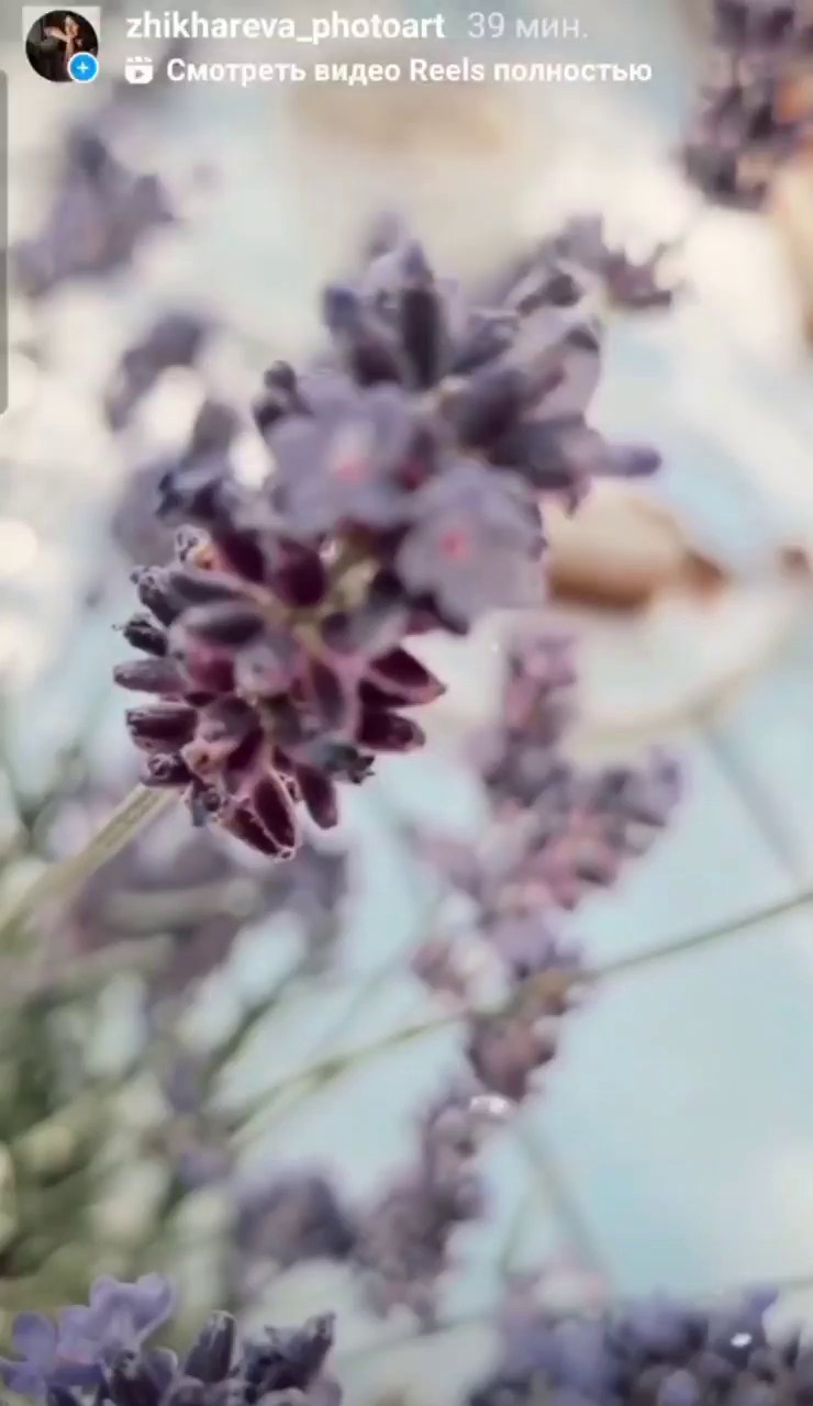 МОБИЛЬНАЯ ВИДЕОГРАФИЯ