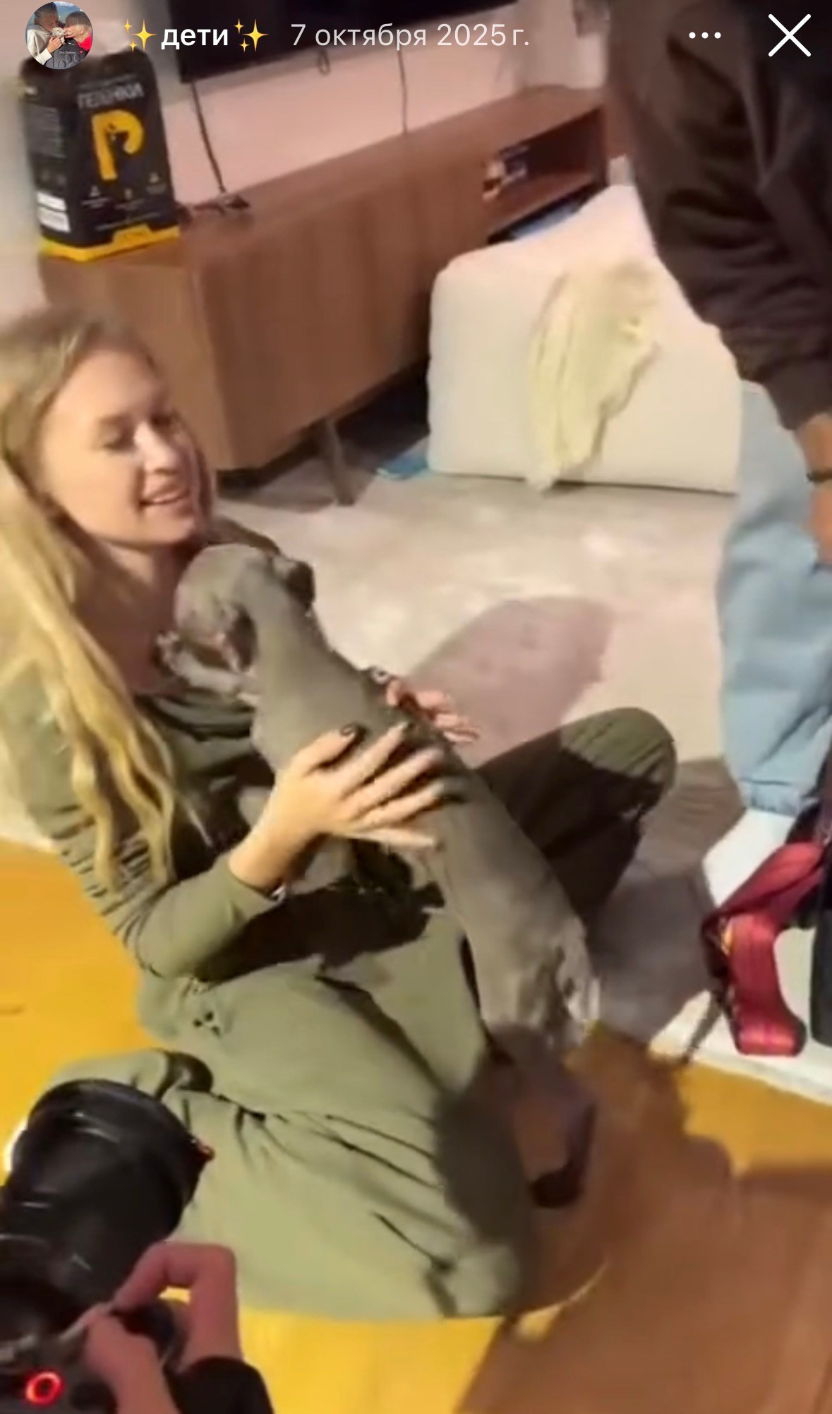 Левретка и ребенок: нежная дружба. Профессиональный питомник левреток РКФ/FCI ASTI SAPPHIRE 💎 Сочи|Санкт-Петербург