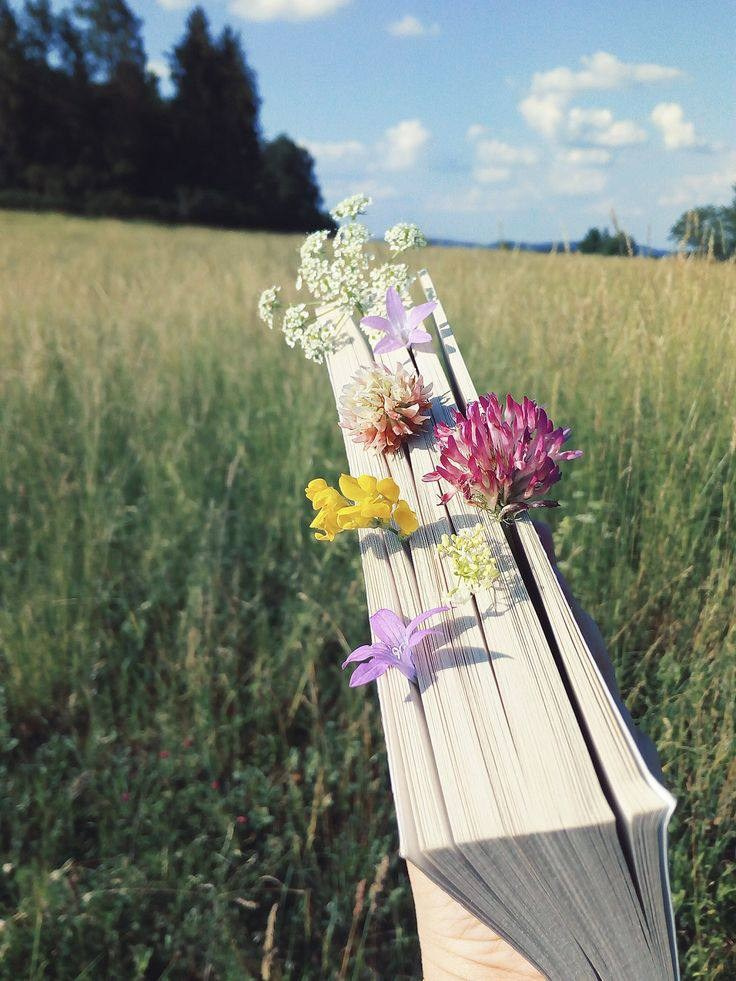 ПИКНИК. ПАРК. ПОЛЕ. СЕМЬЯ. ЛЕТО