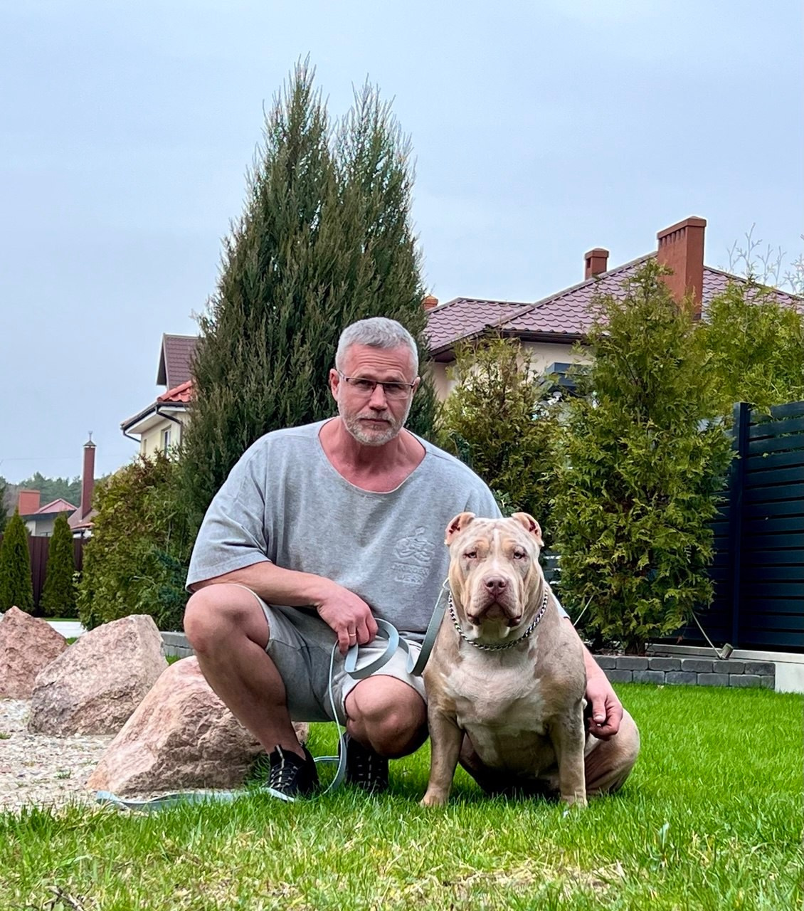 BBK’s Amber. Американские булли XL в г. Калининград. Питомник Great Bully UNIVERSE