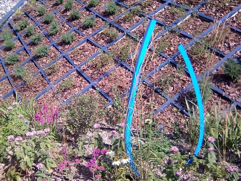 ВНИМАНИЕ! ФЕСТИВАЛЬ ЛАНДШАФТНОГО СТРОИТЕЛЬСТВА. 俄罗斯设计估算