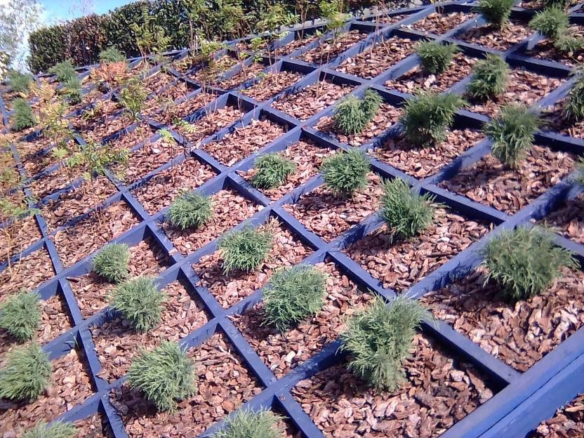 ВНИМАНИЕ! ФЕСТИВАЛЬ ЛАНДШАФТНОГО СТРОИТЕЛЬСТВА. 俄罗斯设计估算