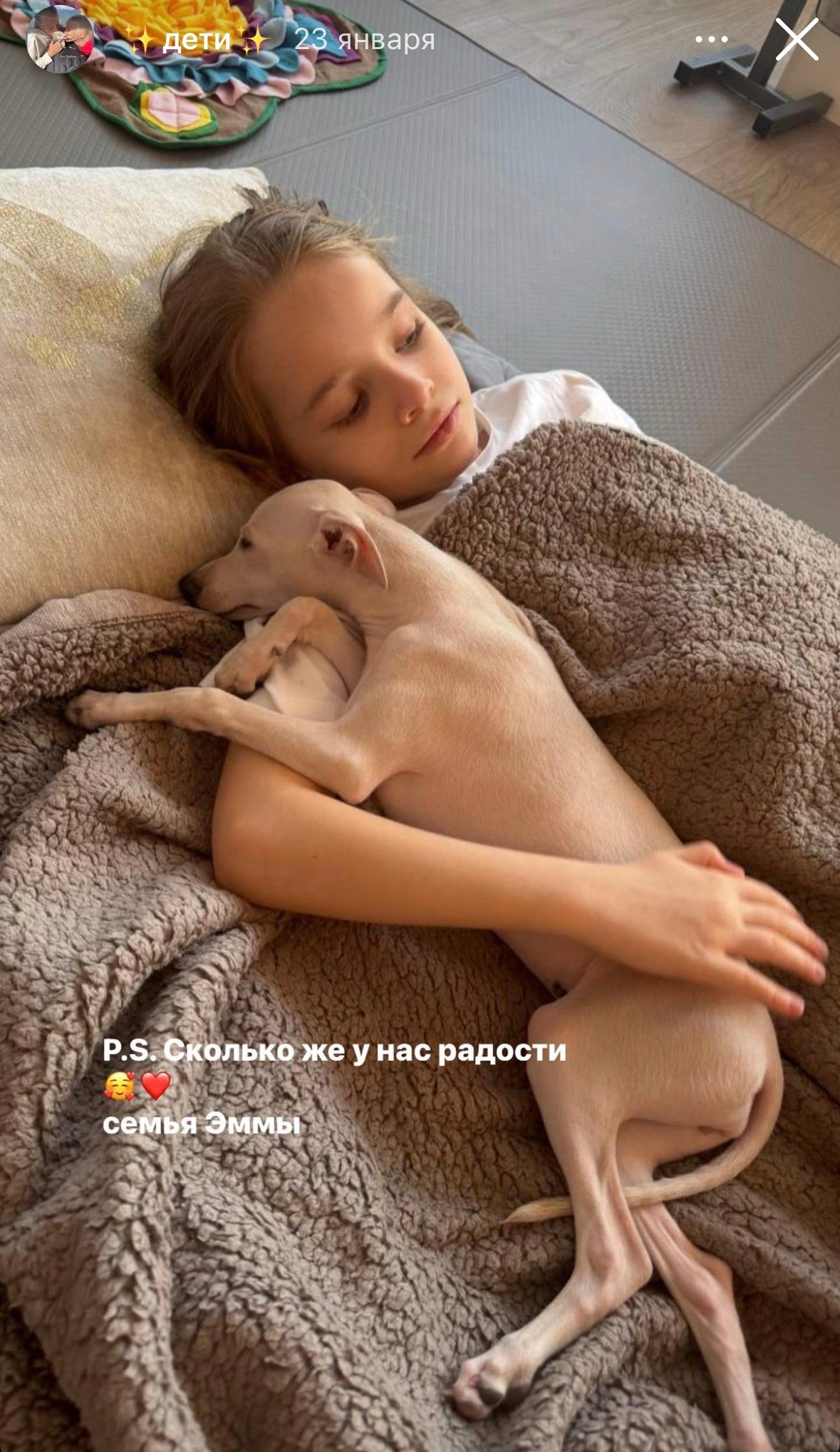 Левретка и ребенок: нежная дружба. Профессиональный питомник левреток РКФ/FCI ASTI SAPPHIRE 💎 Сочи|Санкт-Петербург