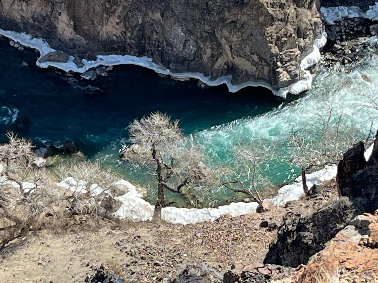 Крутой обрыв с видом на бурную реку Чарын с ярко-бирюзовой водой. Вдоль берегов видны участки снега или льда. В центре композиции несколько деревьев без листьев, растущих на краю обрыва. Река окружена высокими каменными скалами Черного каньона, создающими атмосферу дикого и нетронутого природного пейзажа Алматинской области.