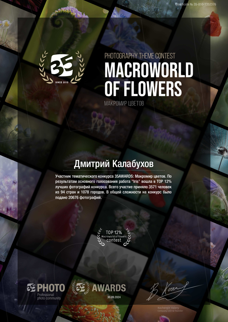 Награда и документ за лучшие работы. Макрофотография цветов. 35AWARDS.