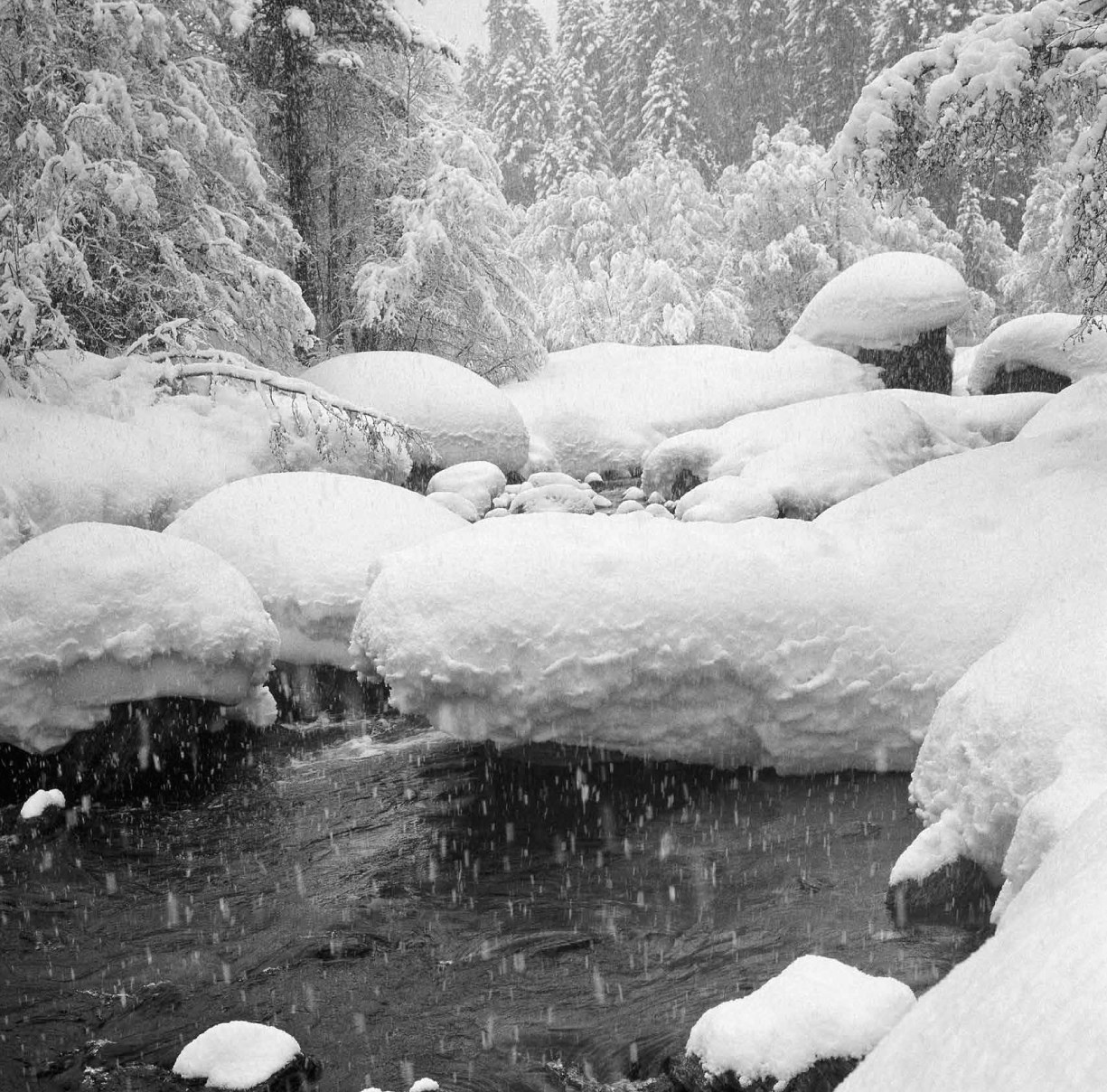 Коллекционные альбомы. ВАДИМ ГИППЕНРЕЙТЕР — ВЕЛИКИЙ ФОТОГРАФ ЗЕМЛИ РУССКОЙ