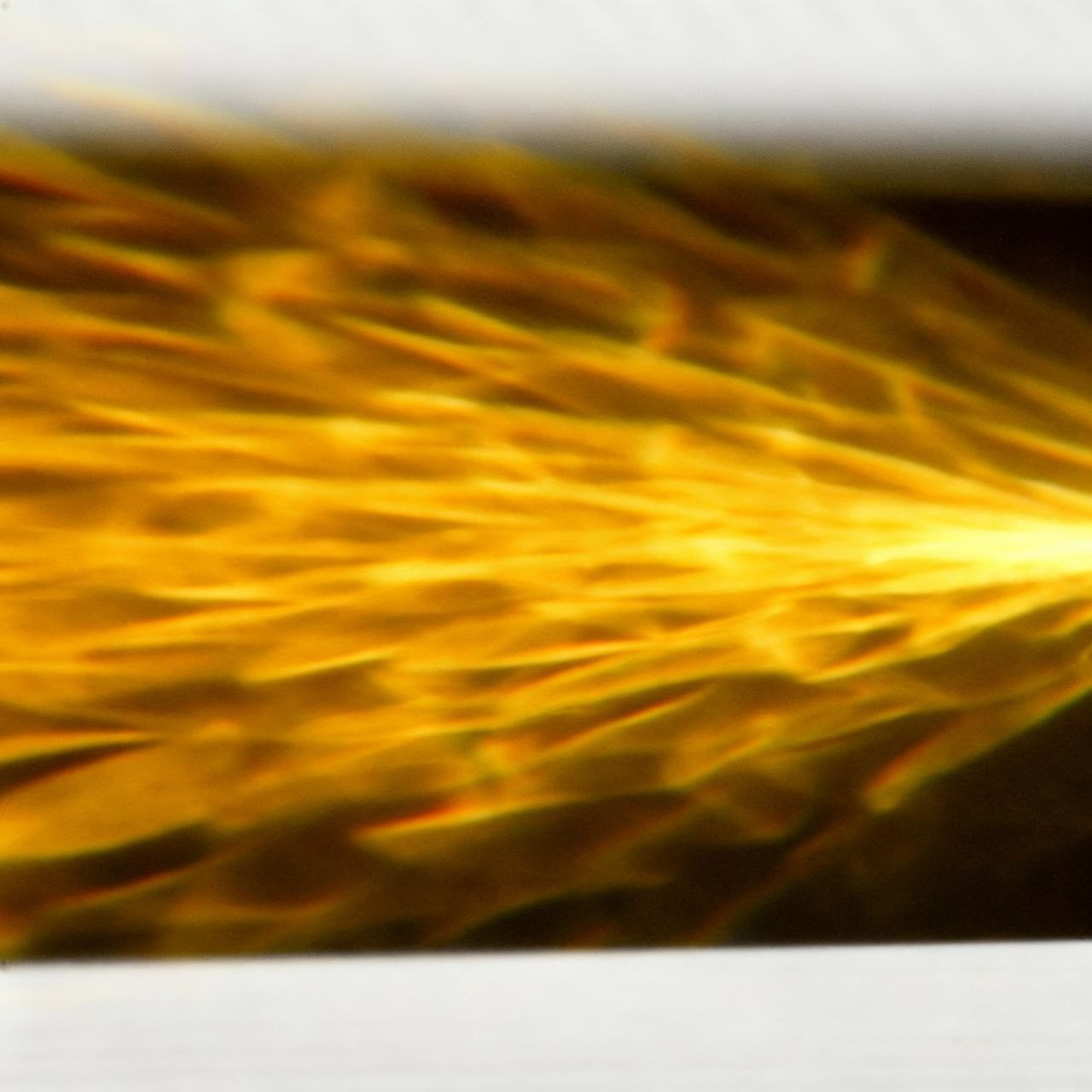 Марафон креативной фотографии. Vladimir Borele Photographer