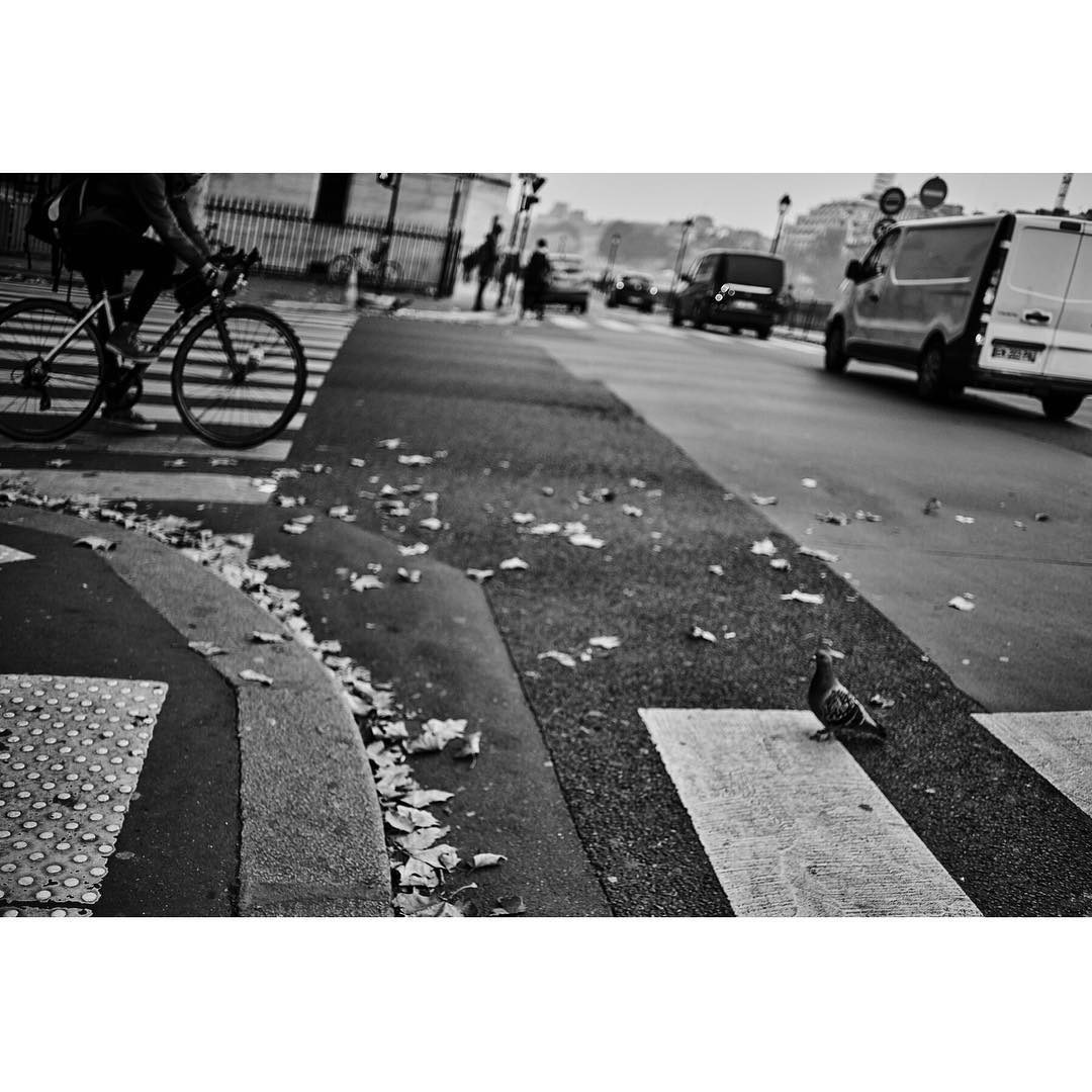 Paris: Download Error