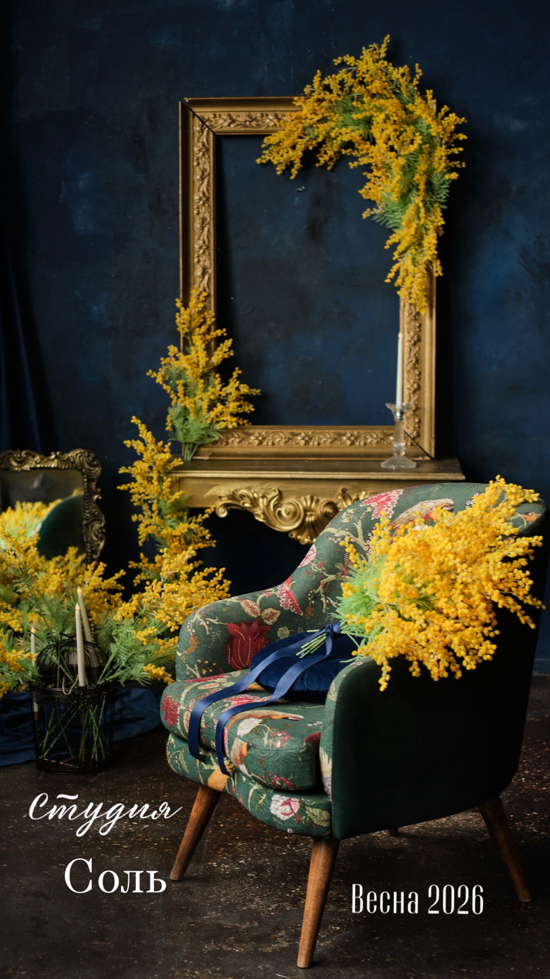 ФОТОСТУДИИ НИЖНИЙ НОВГОРОД. Фото, видео, авторские выпускные альбомы в Нижнем Новгороде