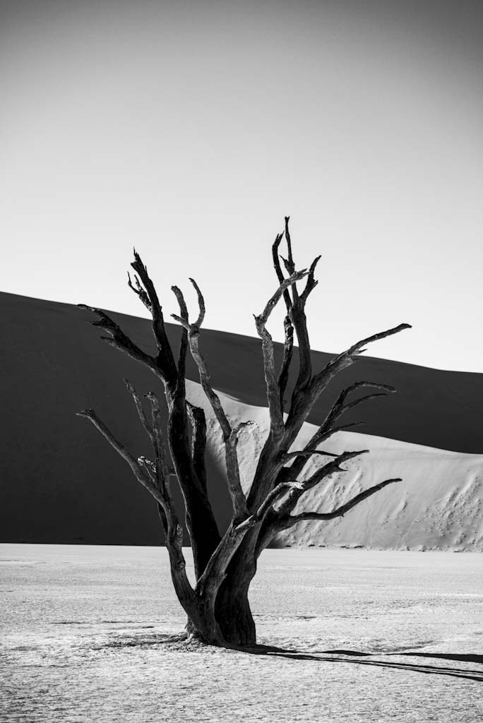 Выставки. Фотограф Дарья Сафонова Dashulkacss