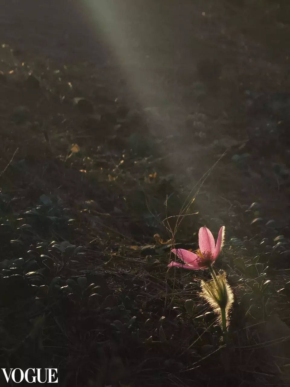 Годовая программа. Онлайн фотошкола просто о фото, фотограф, психолог фототерапия москва сочи анна ивкина