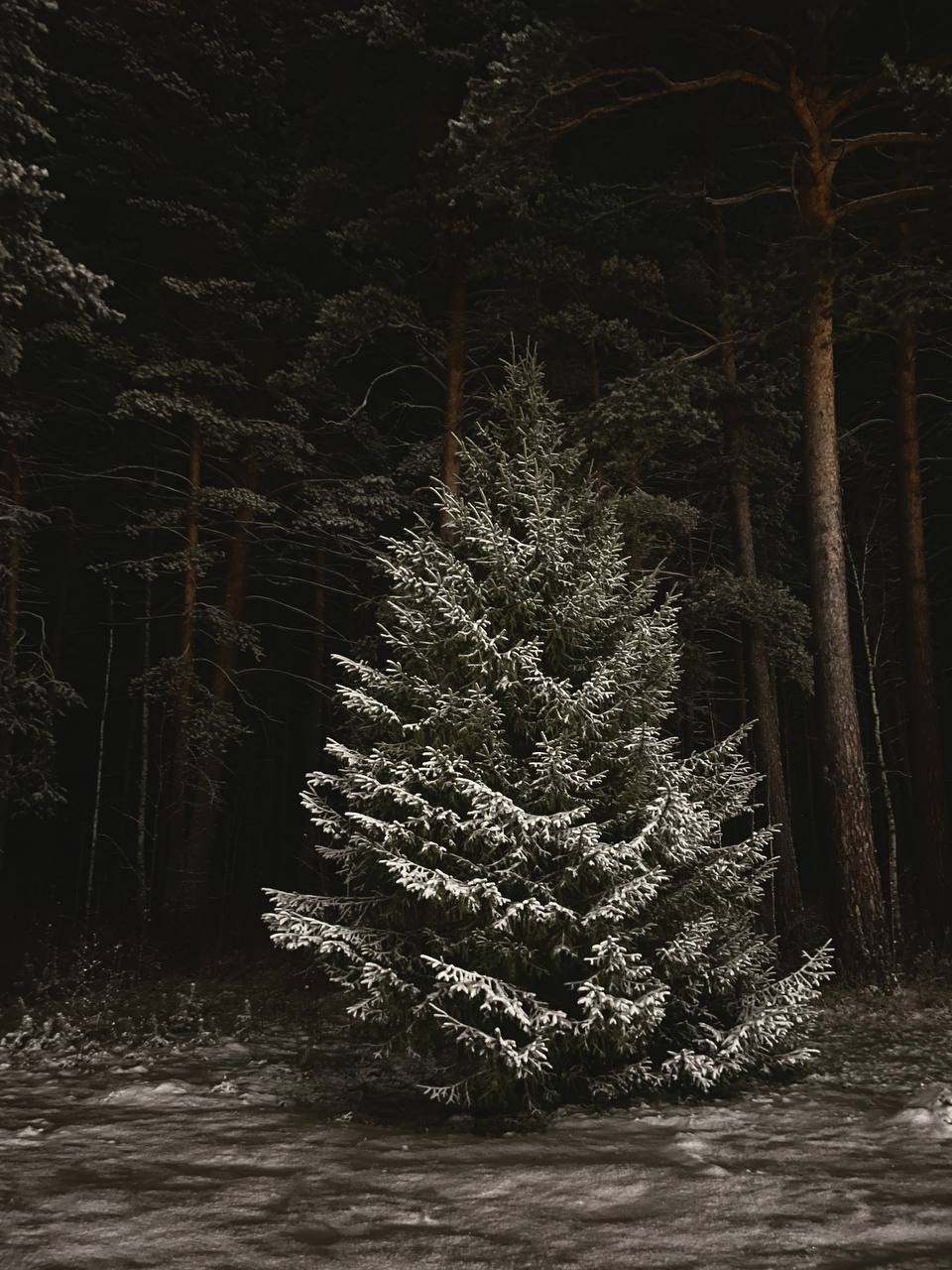Наконец-то удалось вырваться на семейный отдых. Портретный фотограф | Олеся Комарова | Екатеринбург