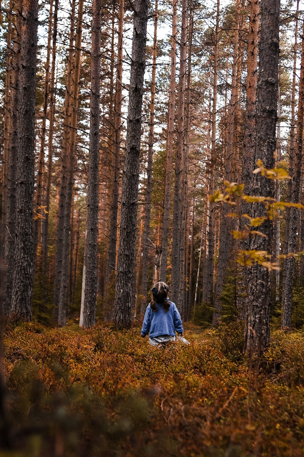 ДЕТСКАЯ ФОТОСЕССИЯ. Катя Цвет