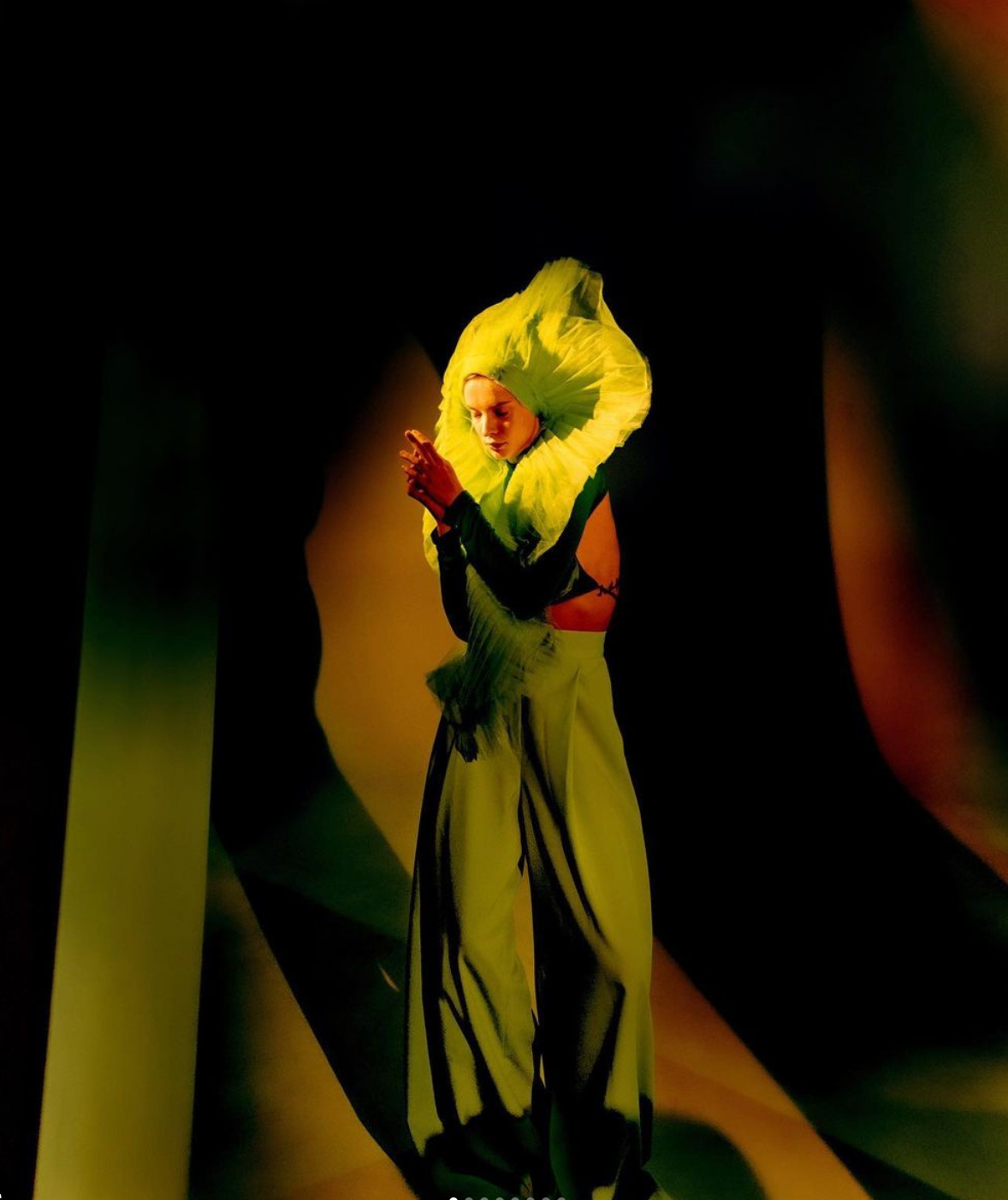 Программа курса. ARTDARY | Фотограф Дарья Грицай