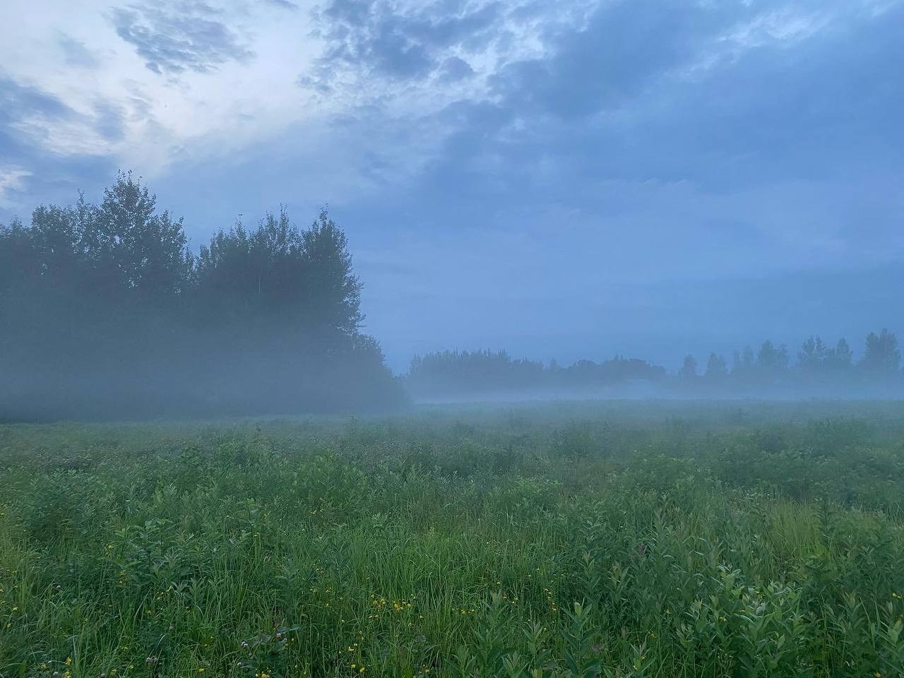 Резиденция «Белые аллеи» 2023. Лилия Ким. Междисциплинарный художник