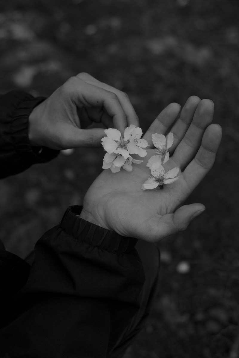 Nuclear space. Kristina Sergeeva