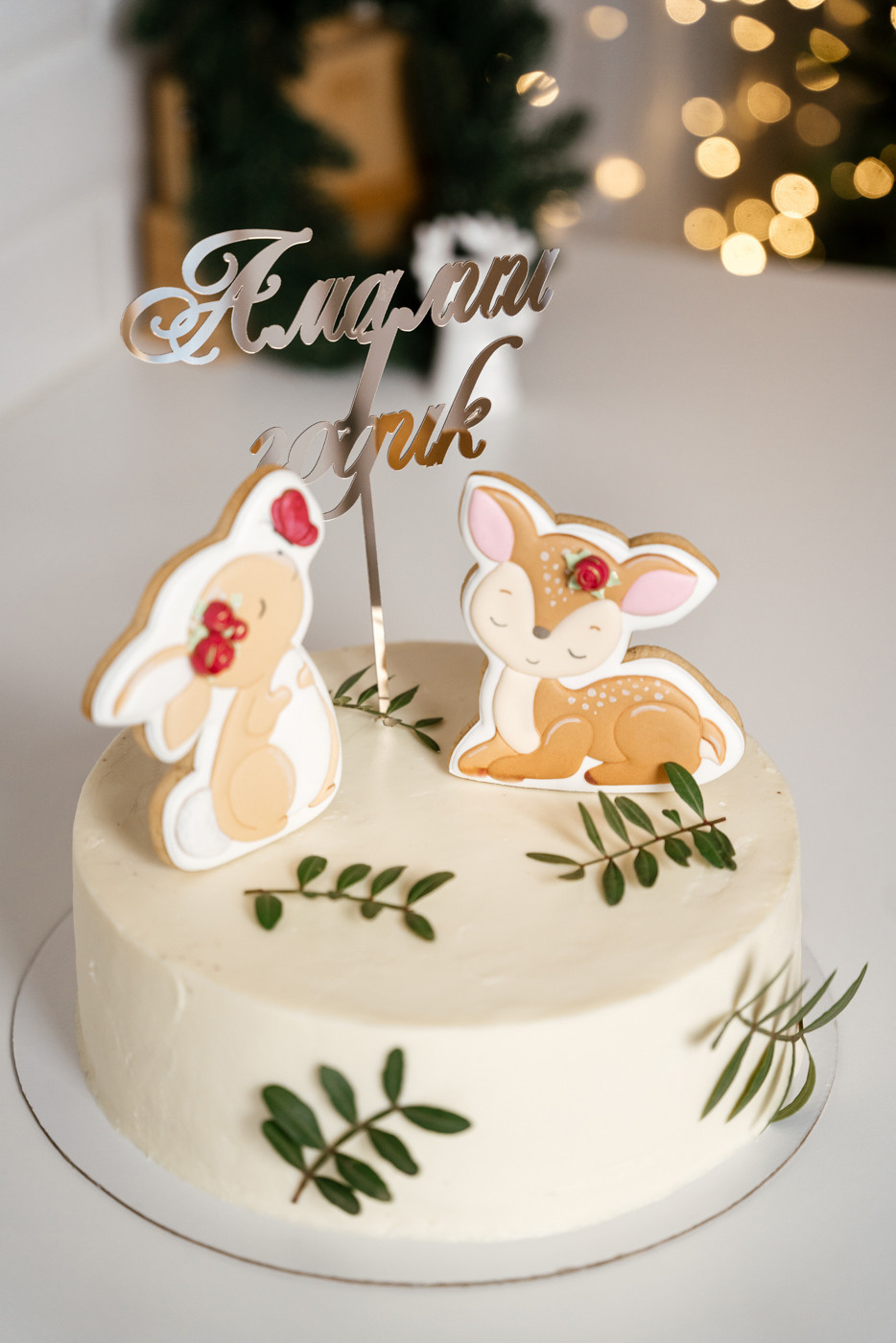 15.12.2021 Little Girl. Фотограф Томск, Новосибирск Влад Свириденко