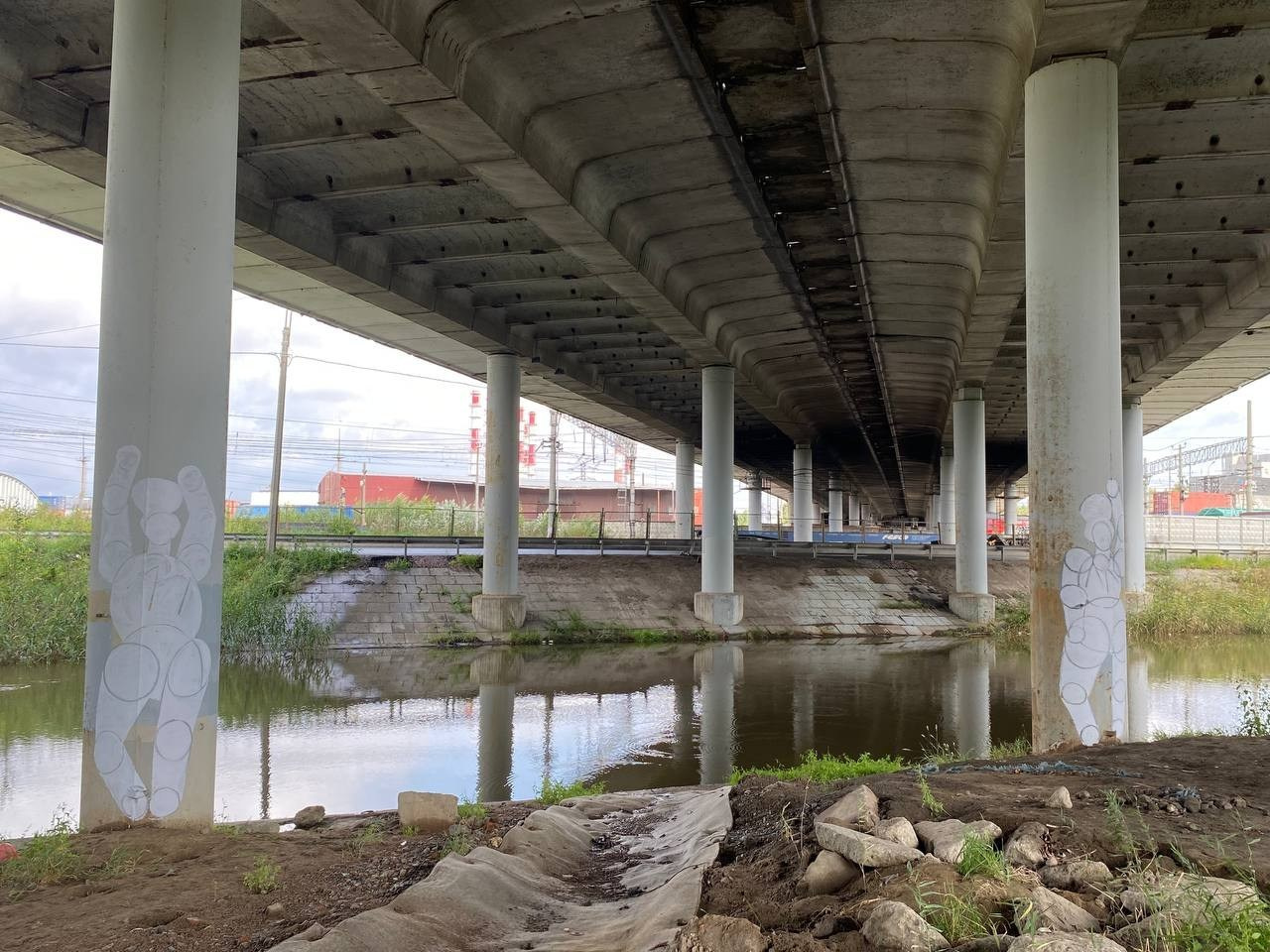 Красненькая биеннале. Санкт-Петербург. Лилия Ким. Междисциплинарный художник