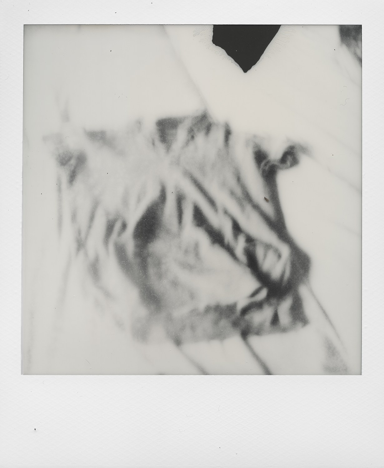 Anima. Vika Bykovskaya photography