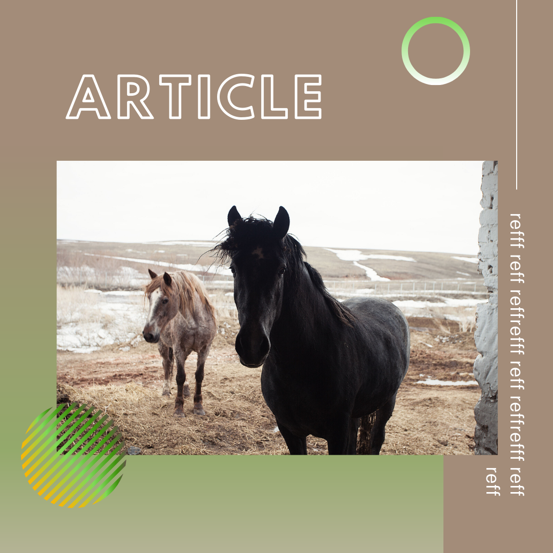 Портфолио: Михаил Милберг. Школа психологической фотографии Refflector